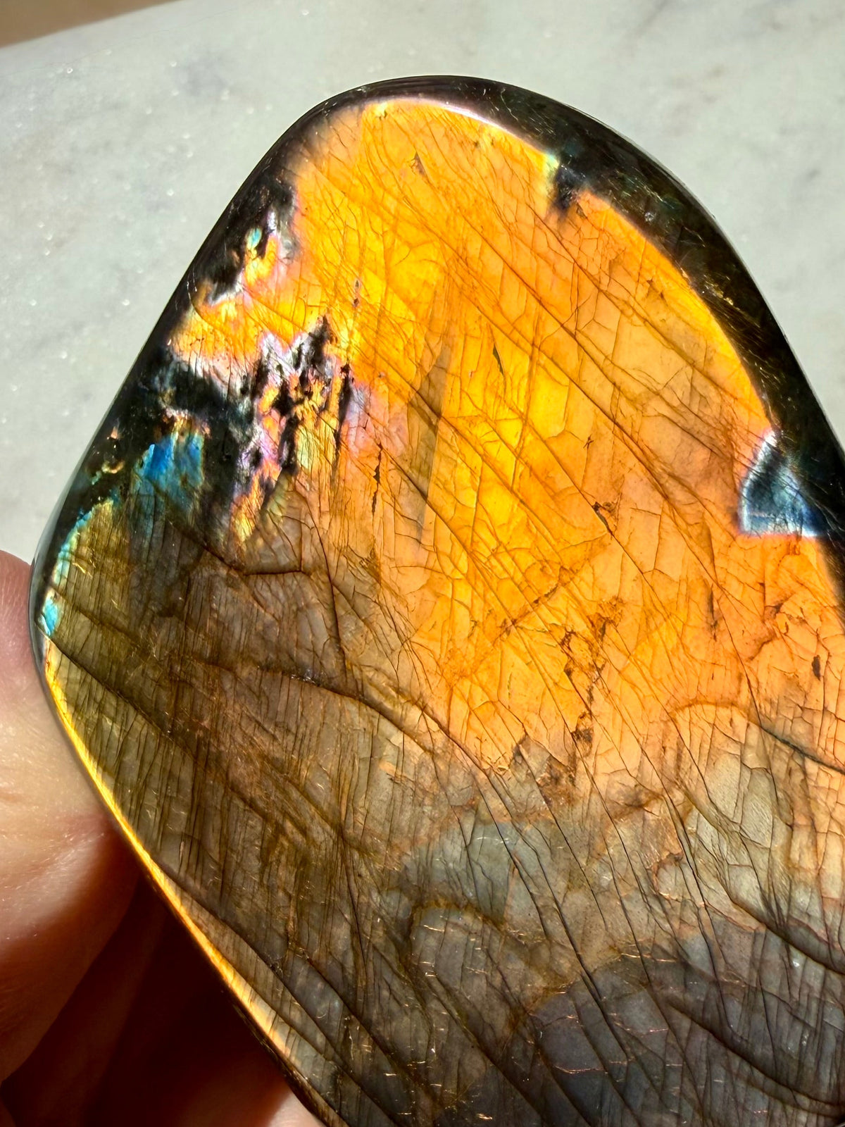 Full flash Labradorite crystal with luminous orange labradorescence and electric blue edge flash