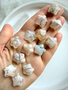 Flower Agate starfish crystals displayed in hand highlighting natural translucency and unique floral landscapes