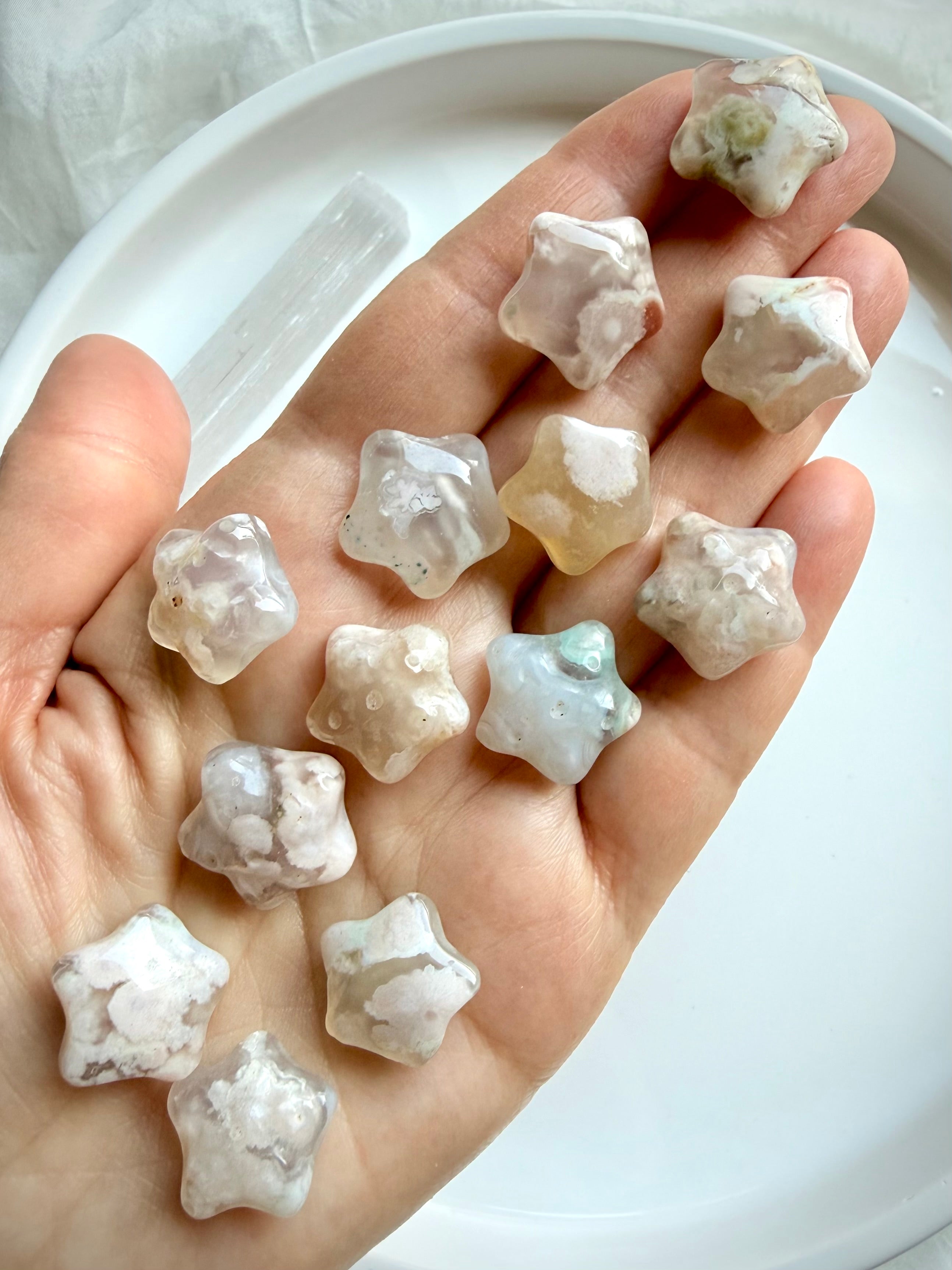 Flower Agate starfish crystals displayed in hand highlighting natural translucency and unique floral landscapes