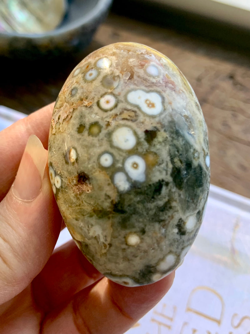 8th Vein Orbicular Ocean Jasper Palm Stones