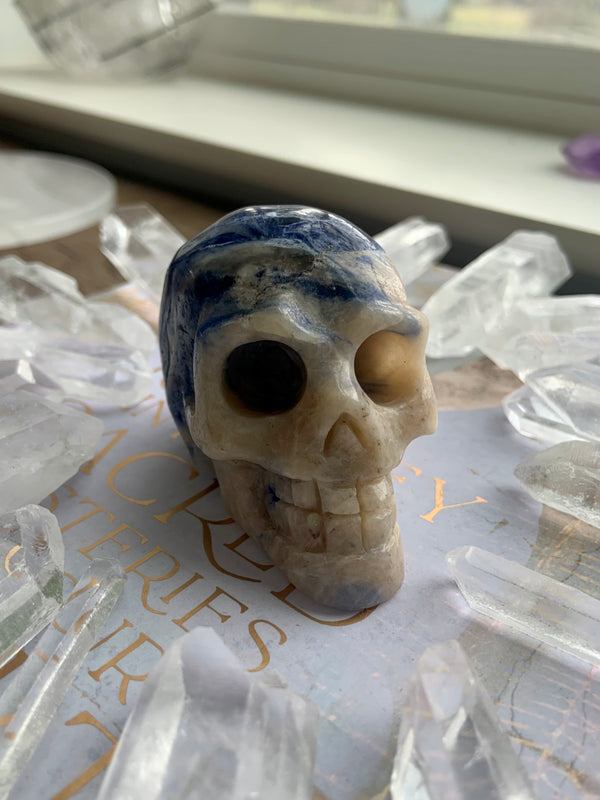 Sodalite Crystal Skull Carving to add to your metaphysical home decor