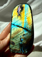 Rainbow Labradorite freeform held in hand with vivid gold, aqua, blue, and green flash across the polished surface