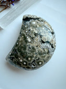Polished orbicular Ocean Jasper moon with gray, cream, and white concentric patterns and sparkling druzy detail