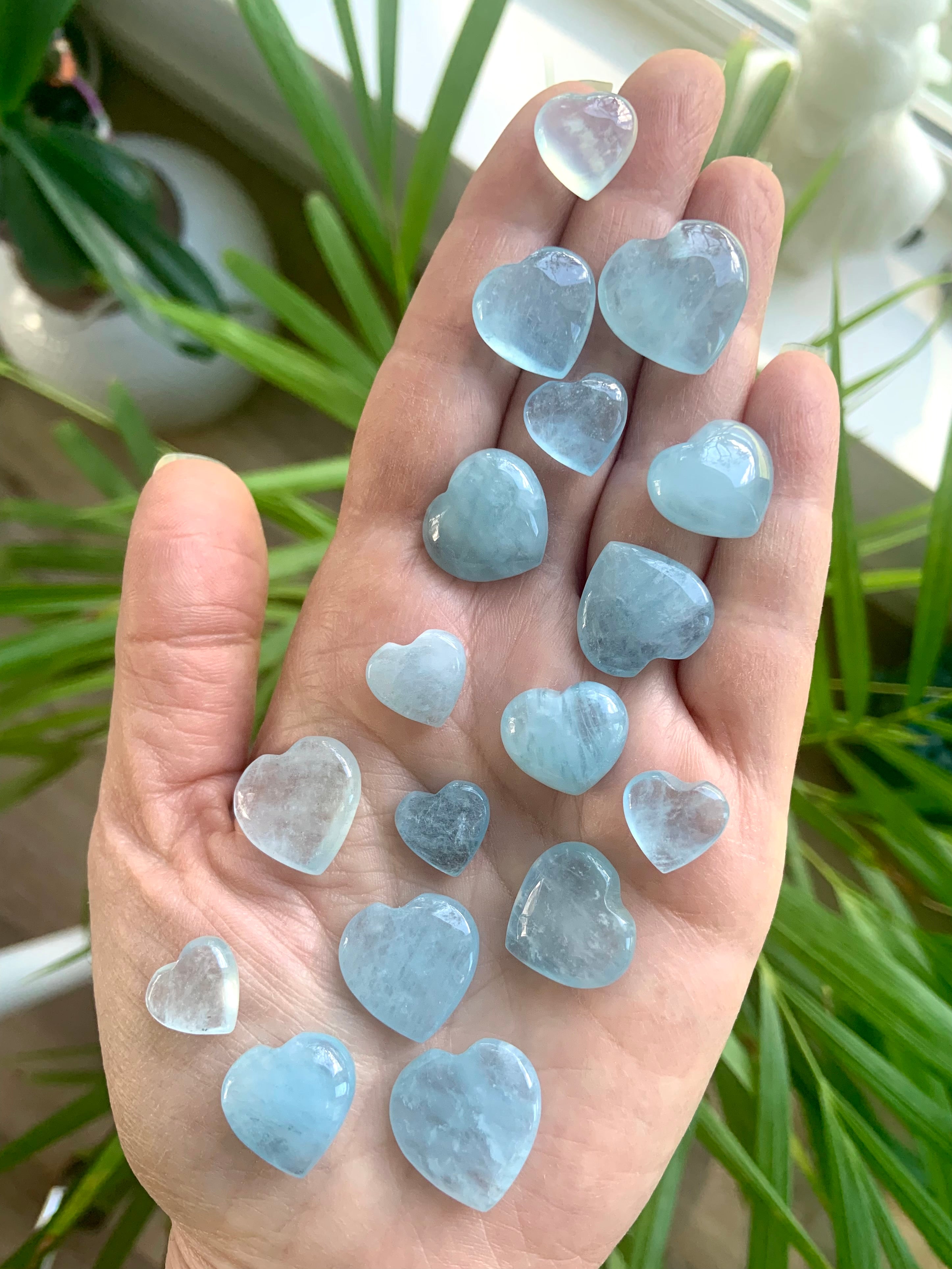 Hand holding a variety of mini Aquamarine crystal hearts with a plant in the background — calming throat chakra stones for truth, peace + emotional healing.