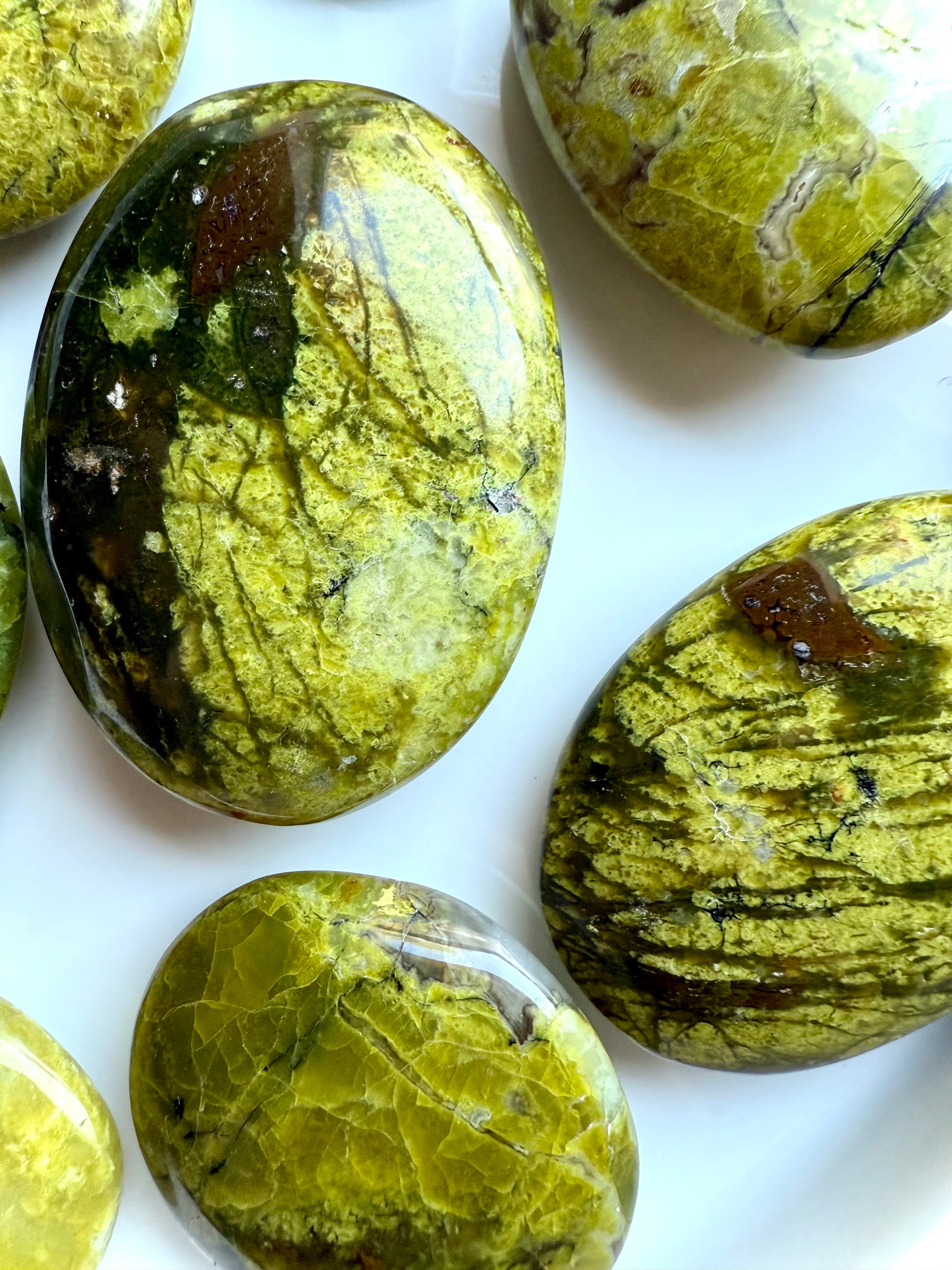 Zoomed-in view of multiple Green Opal palms, showing vibrant chartreuse hues and natural mineral inclusions.
