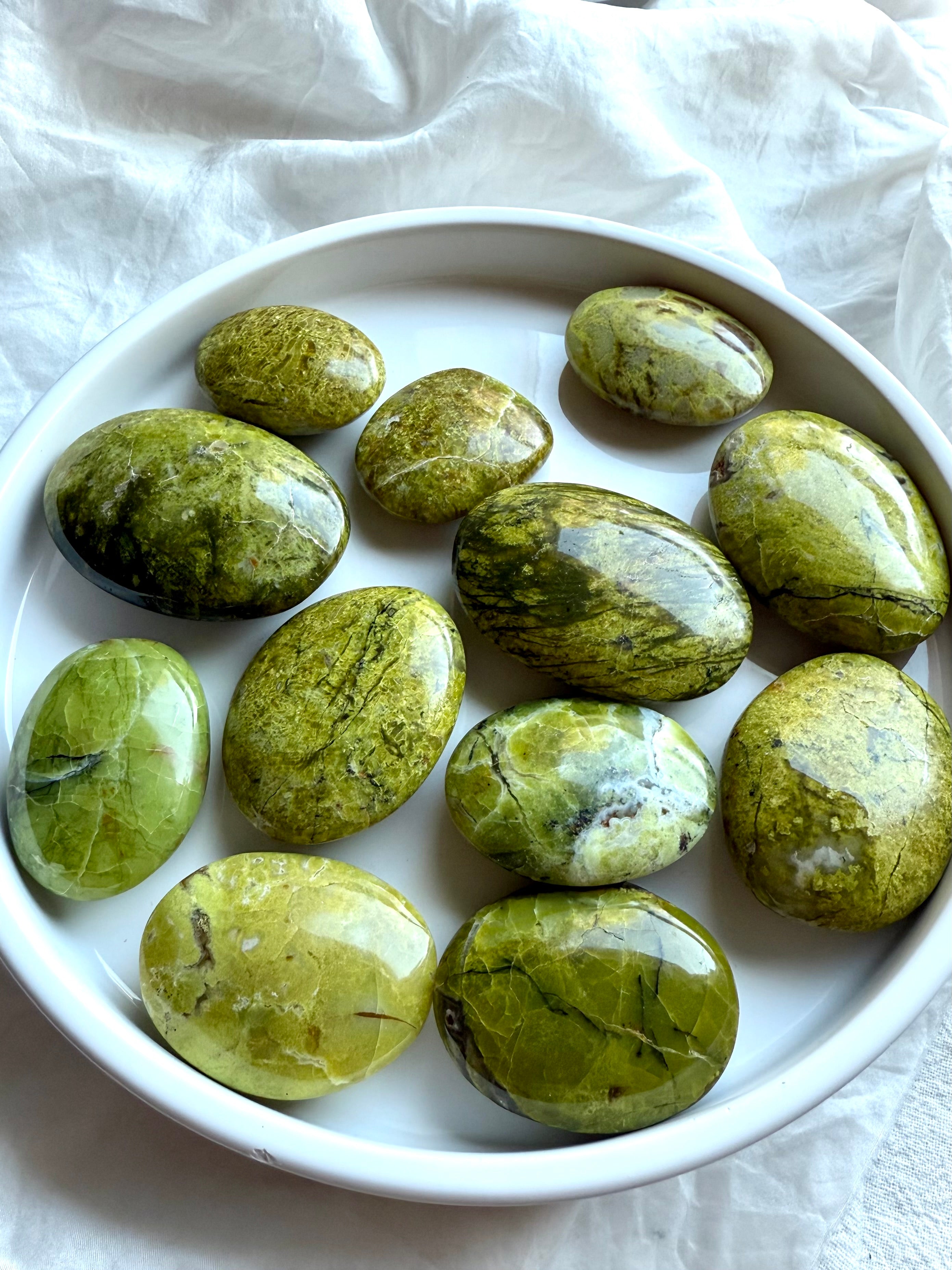 Overhead view of Green Opal palms on a white plate, angled to show natural variations in size, color, and texture.