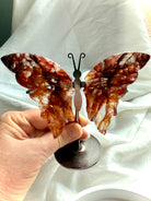 Hand-held Fire Quartz butterfly sculpture showing carved detail, light play, and hematite-rich inclusions. 