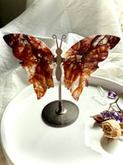 Fire Quartz butterfly wings on metal stand, showcasing red hematoid and golden healer patterns in natural light.