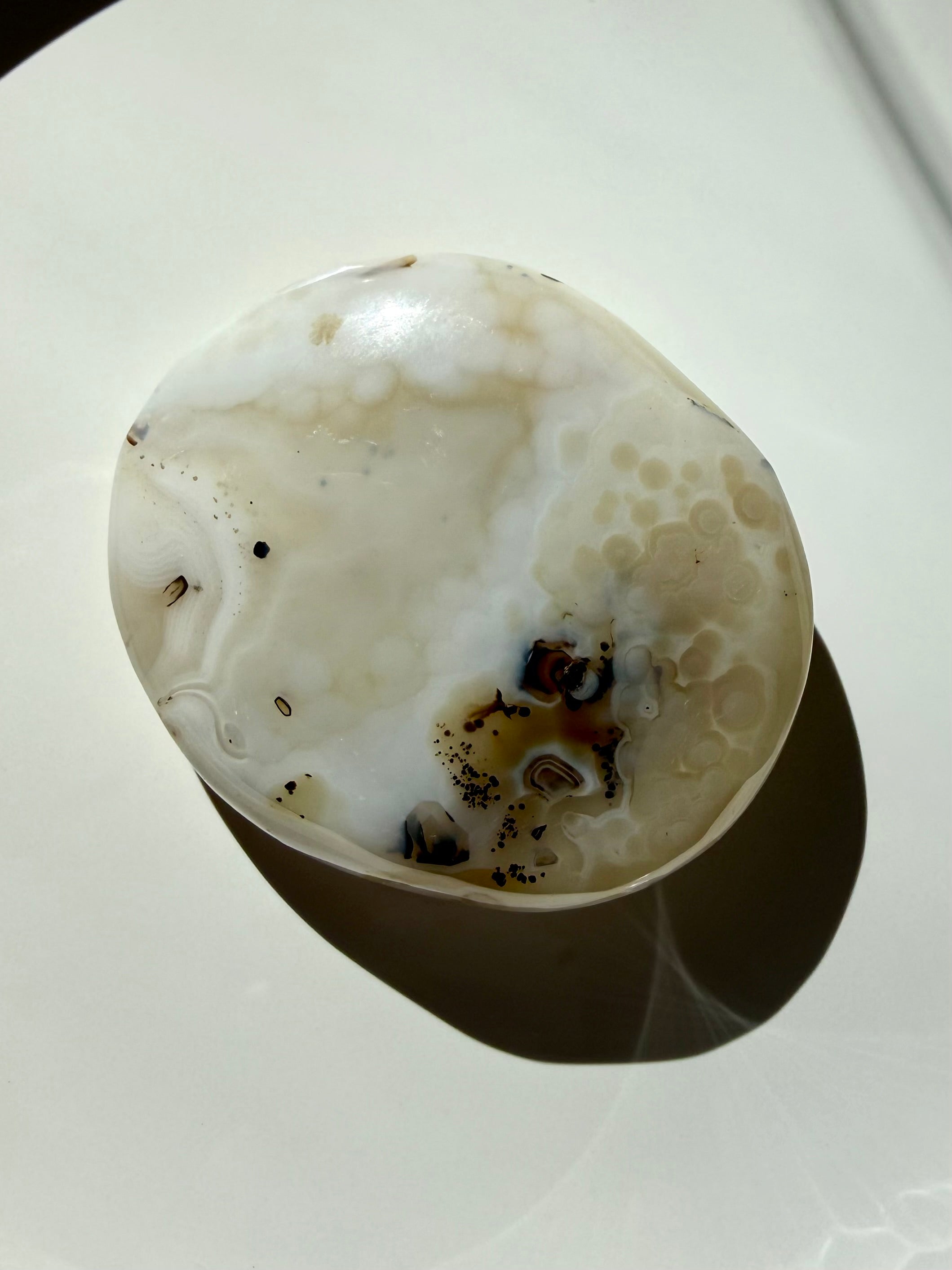Dendritic Agate freeform crystal displayed flat in bright sunlight, featuring pale ivory coloring and concentrated black mineral inclusions