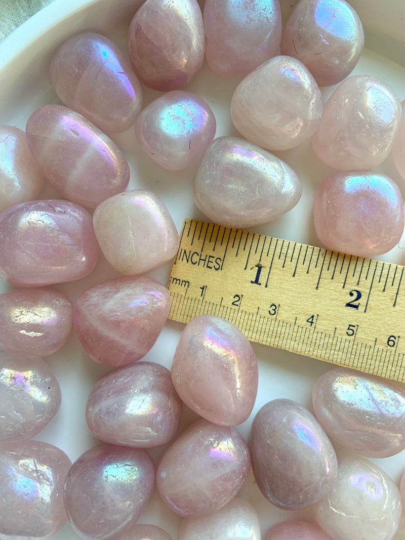 Angel Aura Rose Quartz Tumbles shown on a white plate with a ruler for size reference.