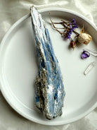 Raw Blue Kyanite with Muscovite specimen on white tray, natural high vibration throat chakra crystal for meditation and energy healing