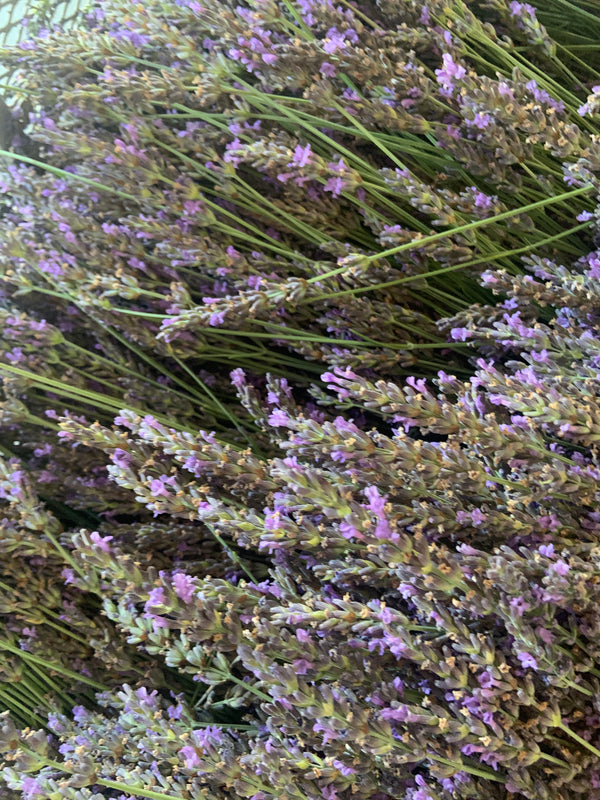 Artisan Distilled Lavender Hydrosol