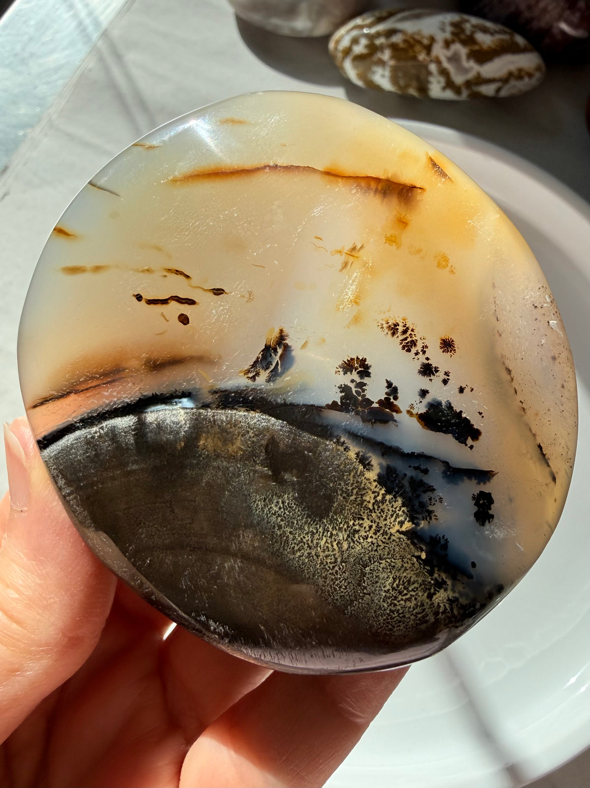 Dendritic Agate freeform crystal with golden honey and cream banding, smoky brown tones and black tree-like inclusions