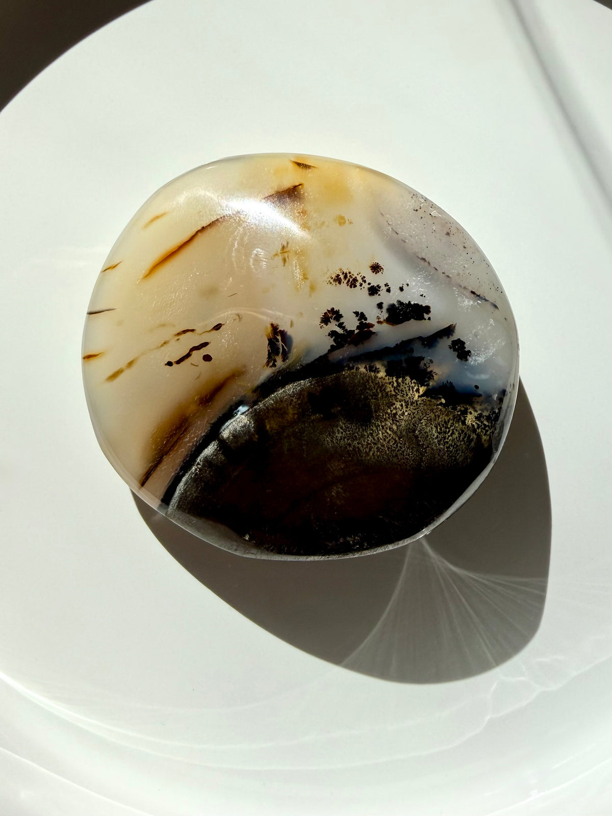 Polished Dendritic Agate freeform featuring layered cream and honey tones, smoky brown Agate and intricate dendritic patterns