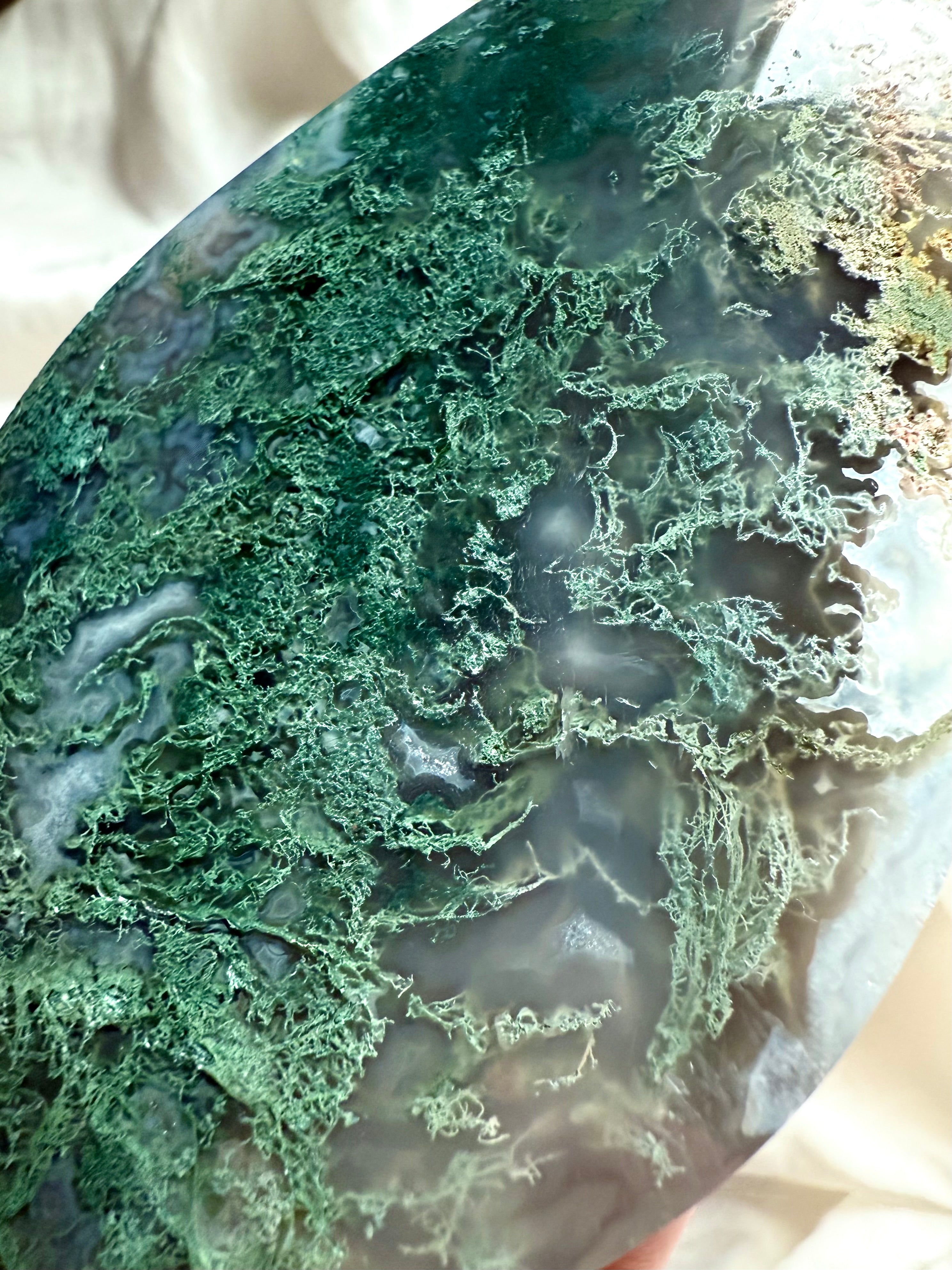 Moss Agate flame detail showing lush chlorite inclusions resembling forest moss within translucent agate