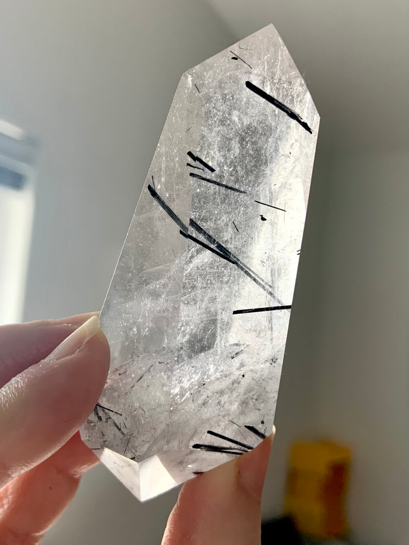 Black Tourmaline in Quartz DT with Phantom