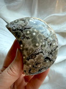 Crescent Ocean Jasper crystal moon displaying detailed orbicular flower-like markings and druzy sparkle