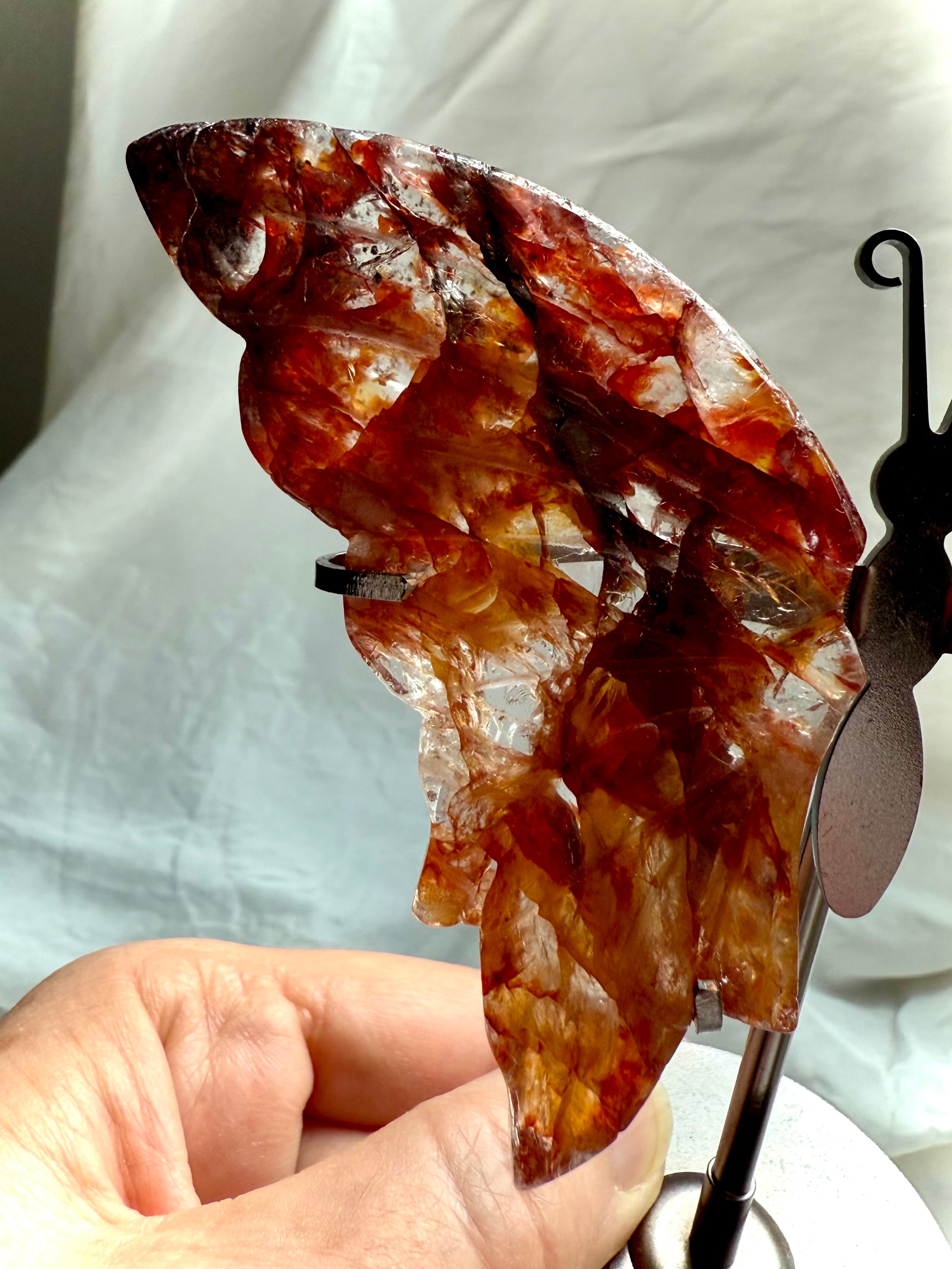 Detailed side angle of Fire Quartz butterfly wing showing translucency and natural hematoid inclusions.
