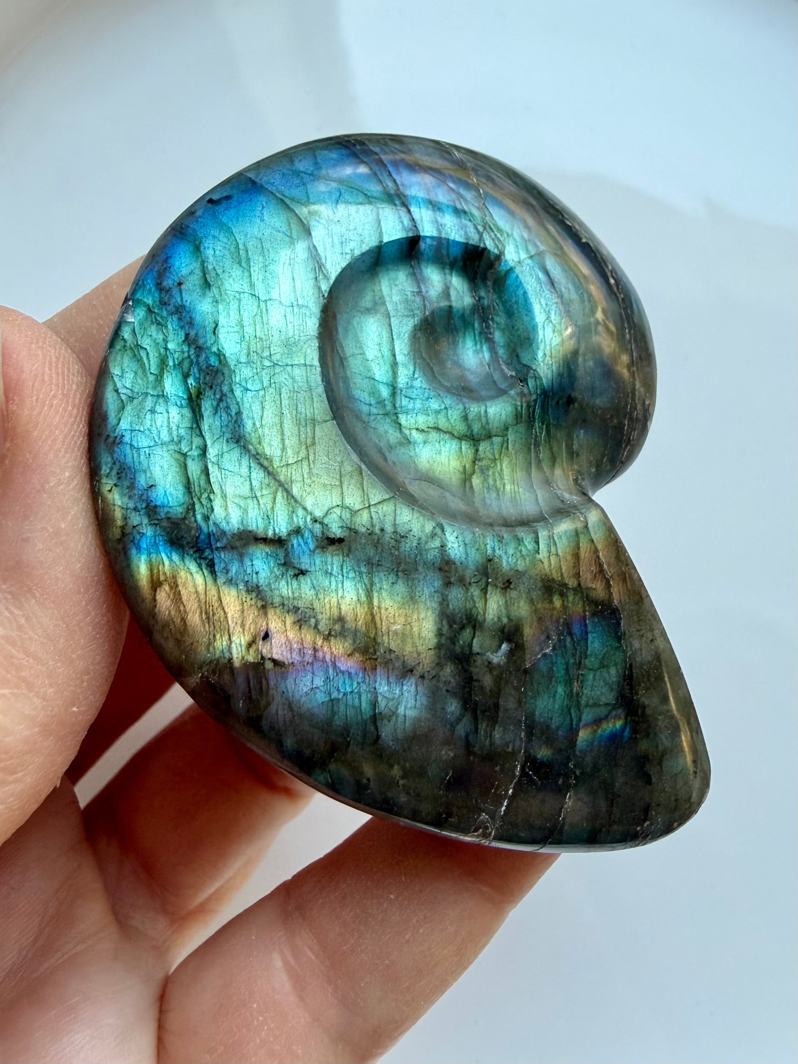 labradorite spiral shell carving with vibrant labradorescence blue green flash crystal for intuition and insight