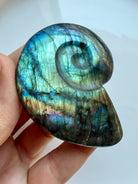 labradorite spiral shell carving with vibrant labradorescence blue green flash crystal for intuition and insight