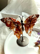 Fire Quartz butterfly sculpture with hematoid and golden healer inclusions glowing in sunlight.