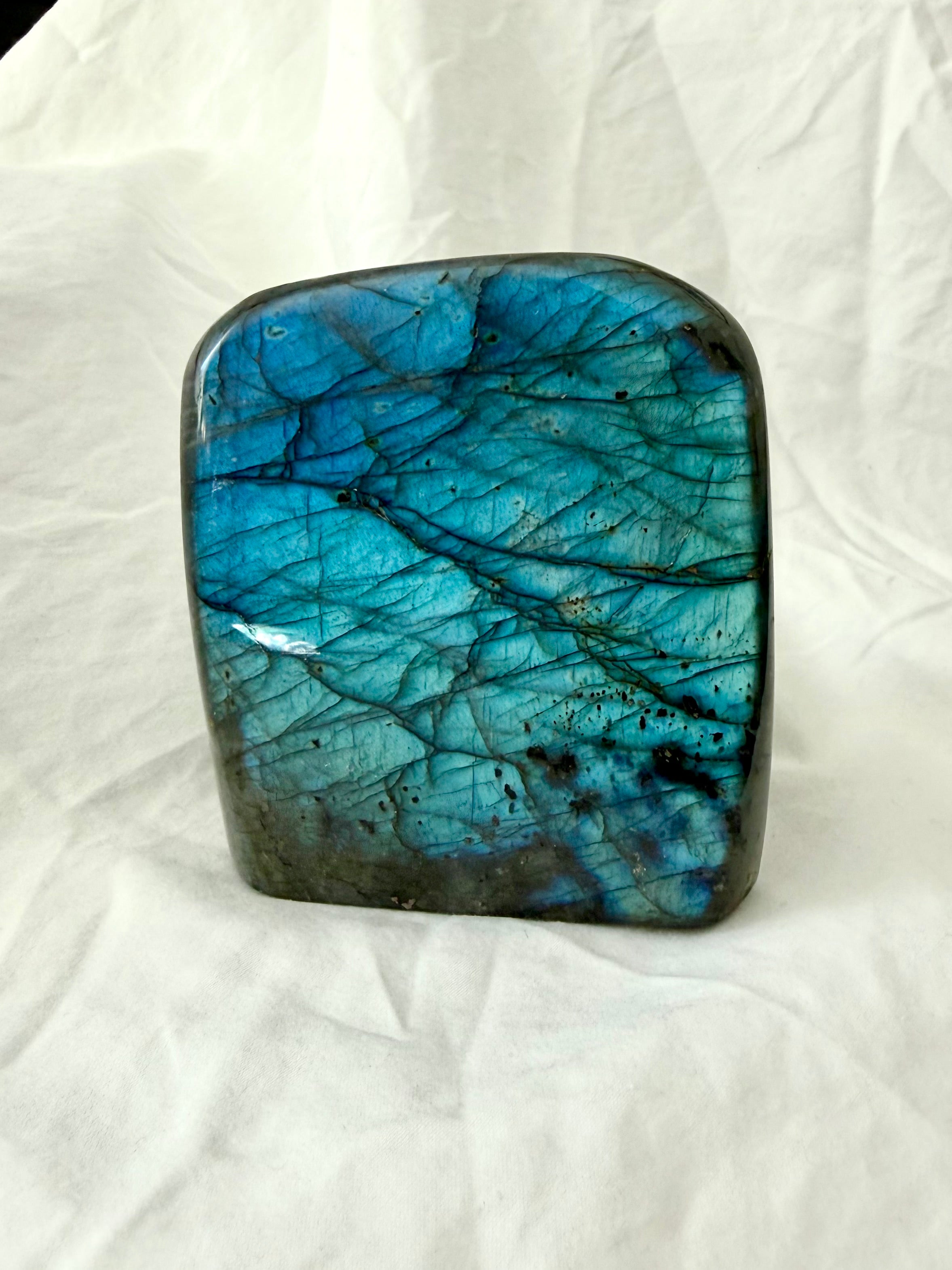 Blue Labradorite crystal with luminous electric blue flash across the polished front face