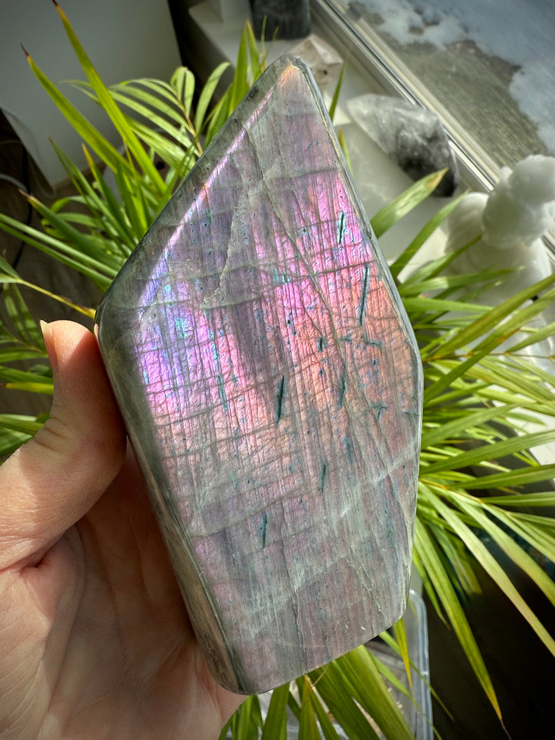 A rare purple Labradorite Freeform with a spectrum of sunset colors to activate the third eye chakra