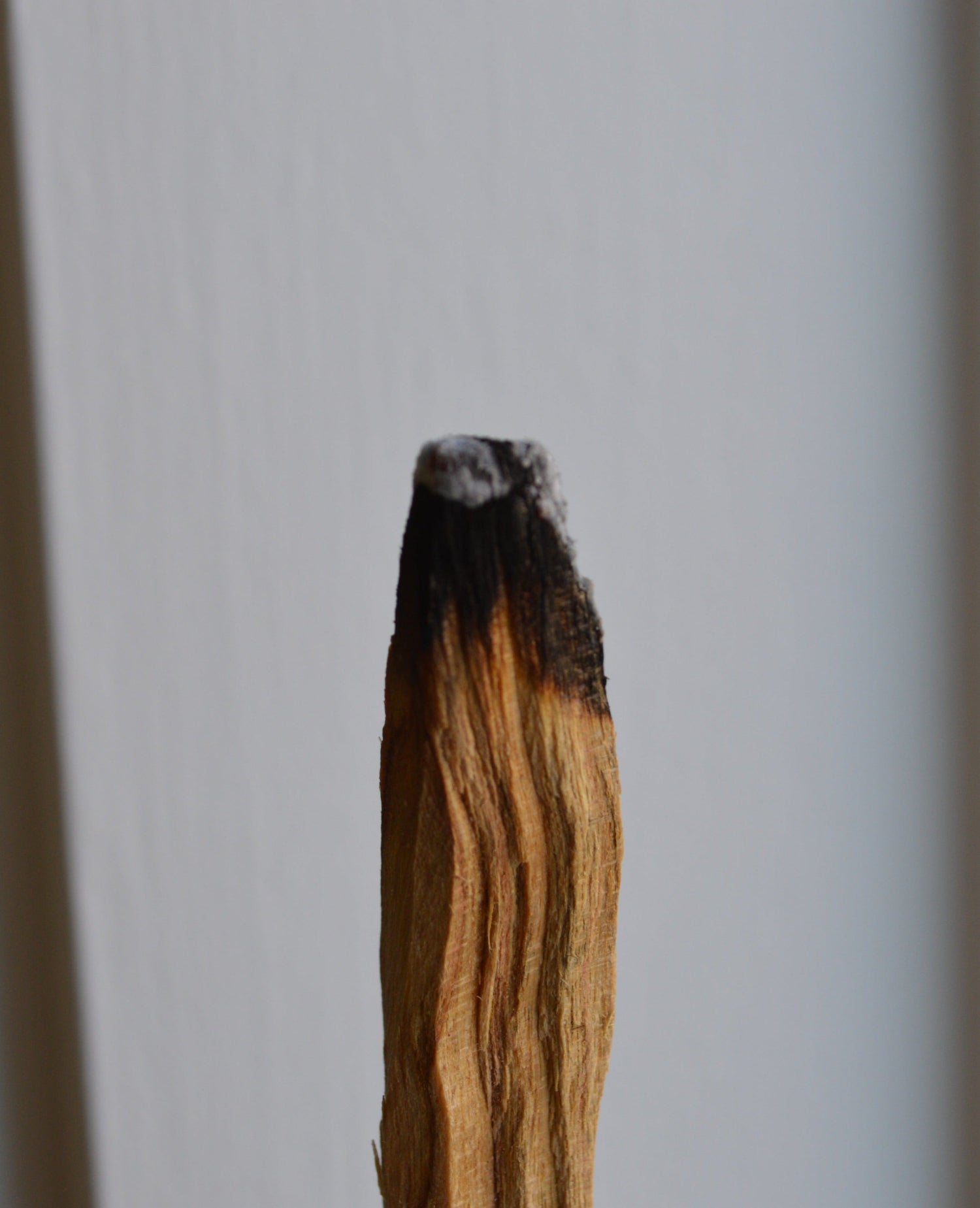 Close-up of burning Palo Santo stick with glowing ember – smudging for sacred rituals and energetic protection