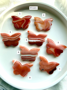 Choose your own Carnelian Butterfly crystal carving with natural banded agate patterns