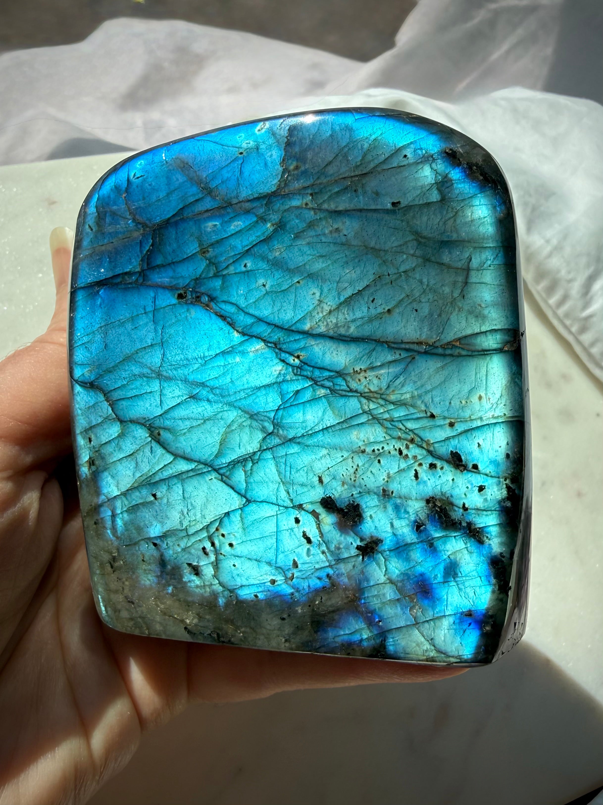 Blue Flash Labradorite freeform held in hand showing its broad polished face and vibrant blue labradorescence