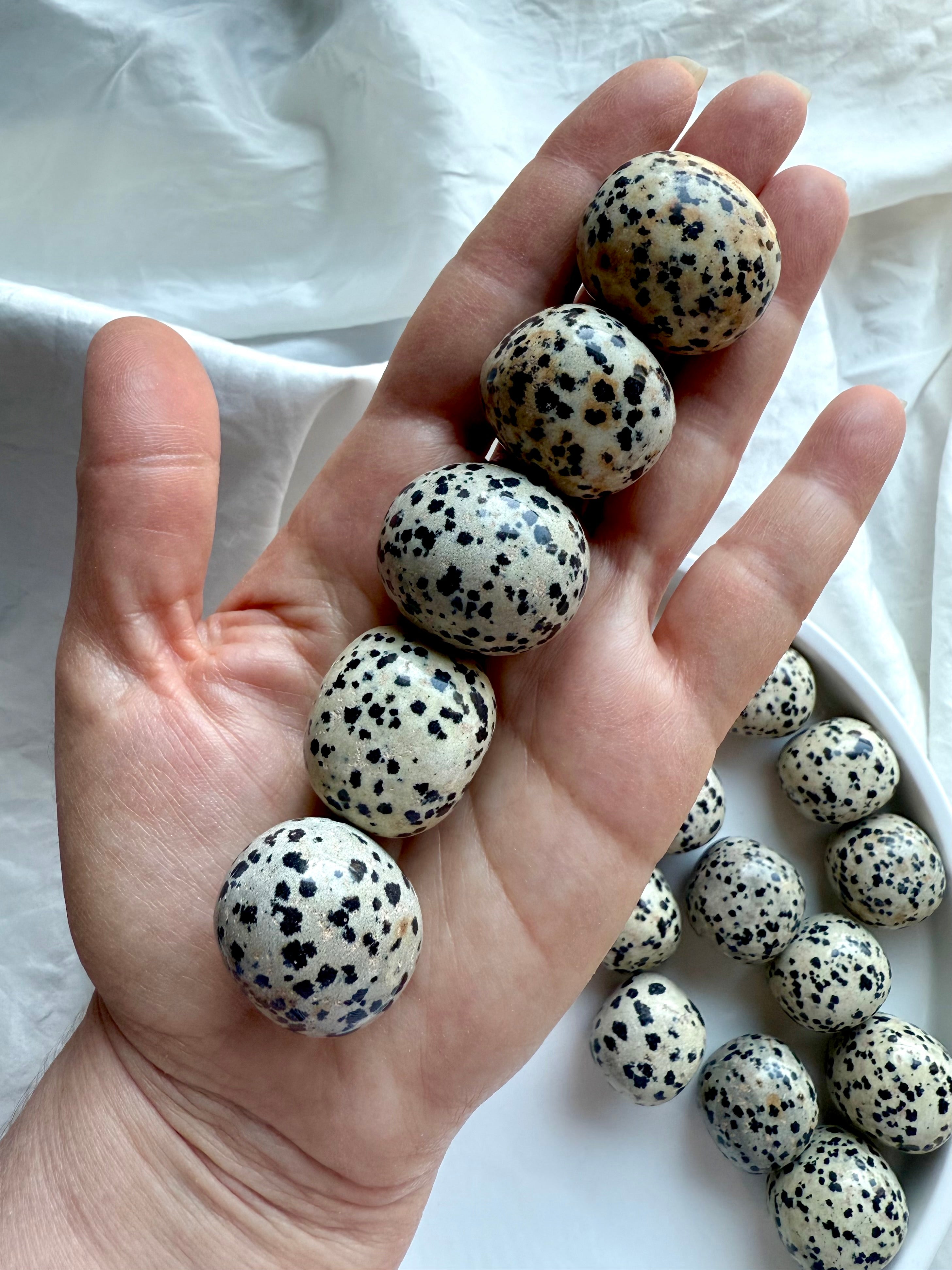Hand holding five Dalmatian Jasper tumbles showing natural black and orange speckled inclusions, Root and Sacral Chakra crystals