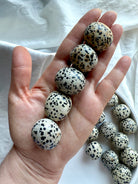 Hand holding five Dalmatian Jasper tumbles showing natural black and orange speckled inclusions, Root and Sacral Chakra crystals