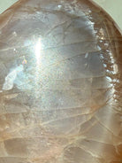 Close up view of Rainbow Peach Moonstone freeform with luminous silver sheen, peach tones and colorful iridescent flashes