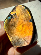 Full flash Labradorite freeform with vivid orange labradorescence across the broad polished face