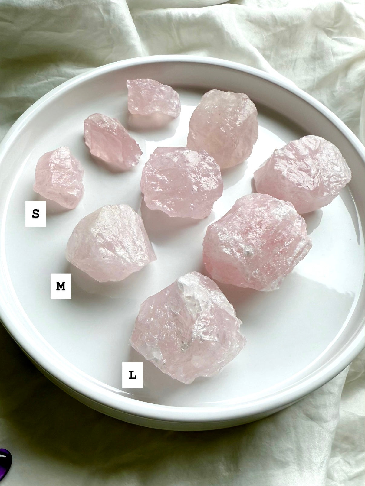 Raw Rose Quartz chunks labeled small, medium, and large, arranged in rows on white plate