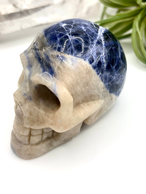 Sodalite Crystal Skull