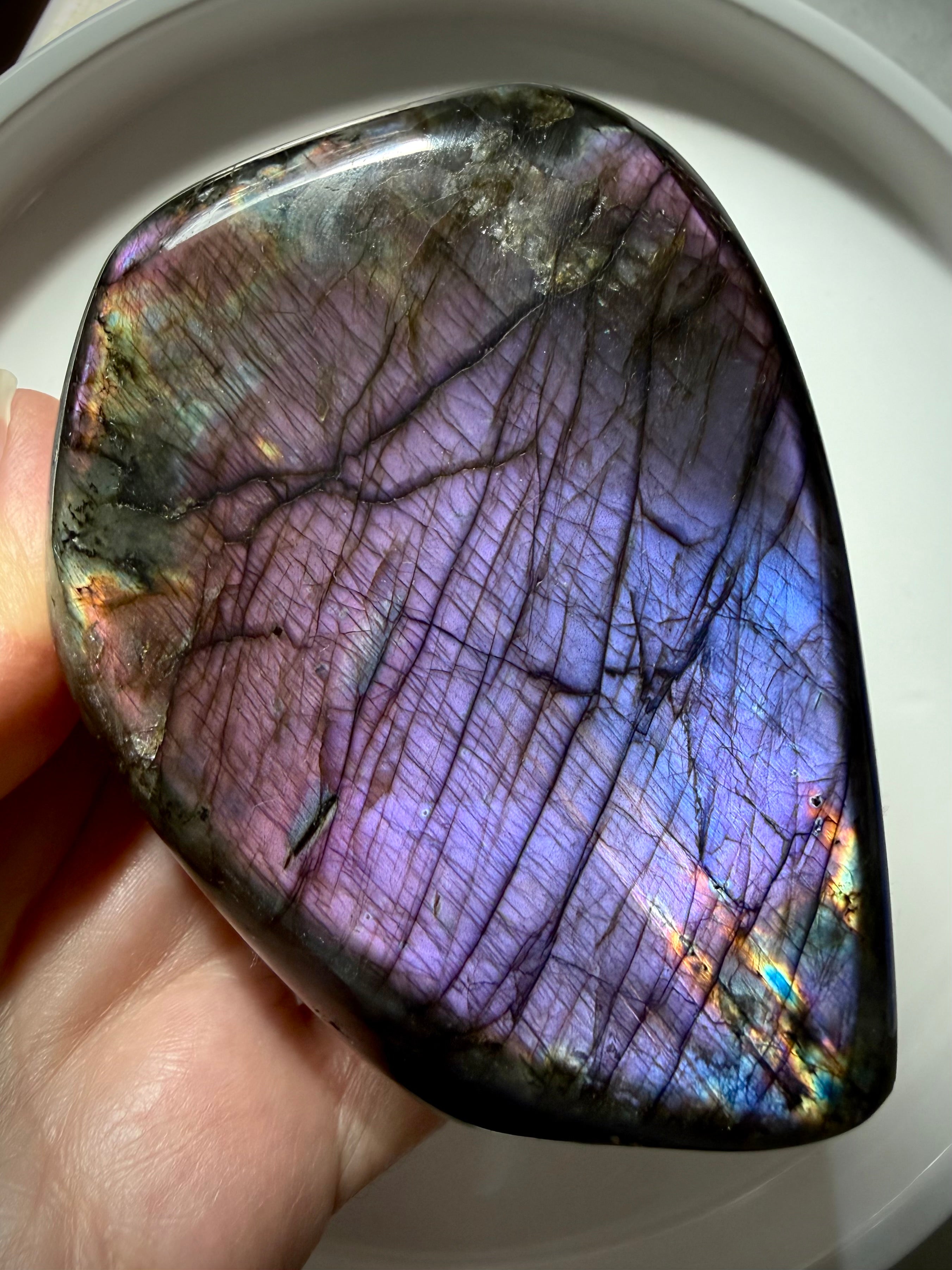 Rainbow Labradorite freeform showing vibrant purple, magenta and violet flash with golden color along the edges