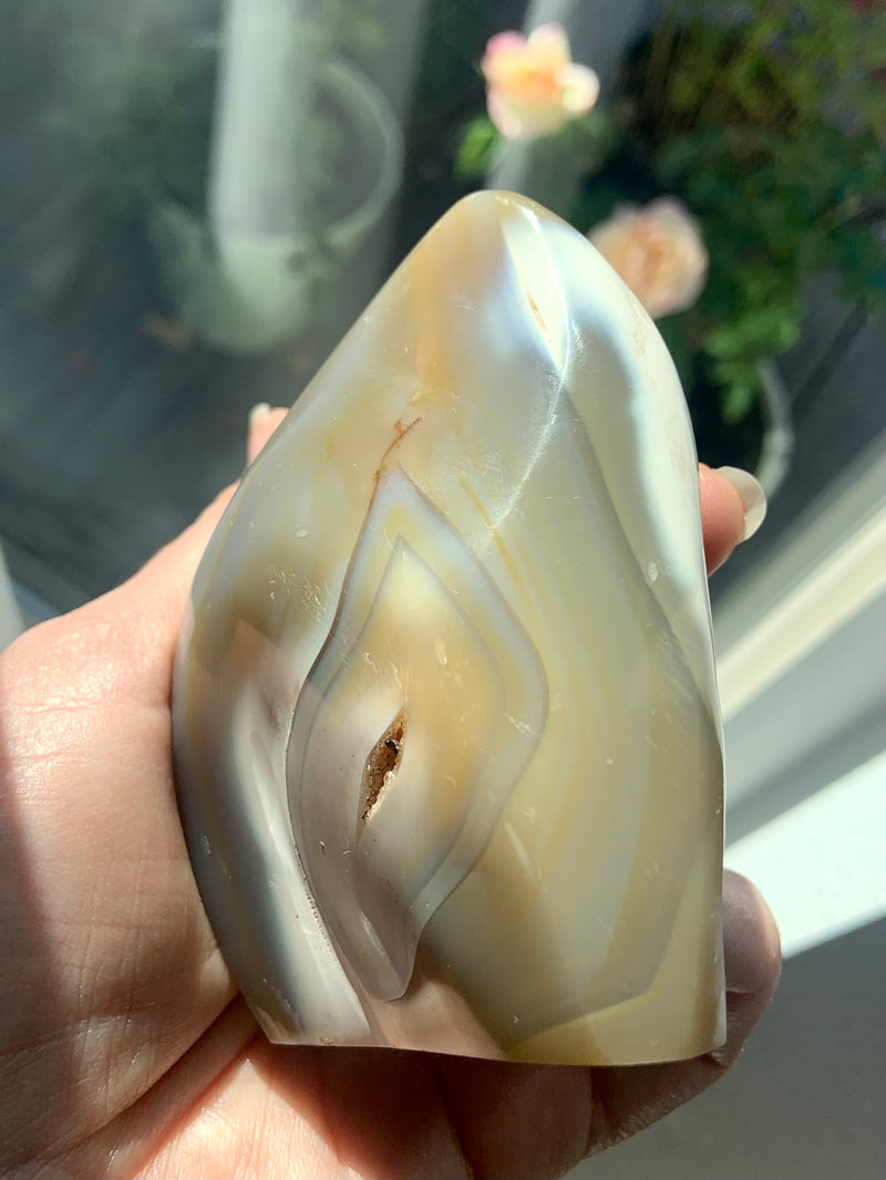 Orca Agate Carnelian Freeform with Tree Ring