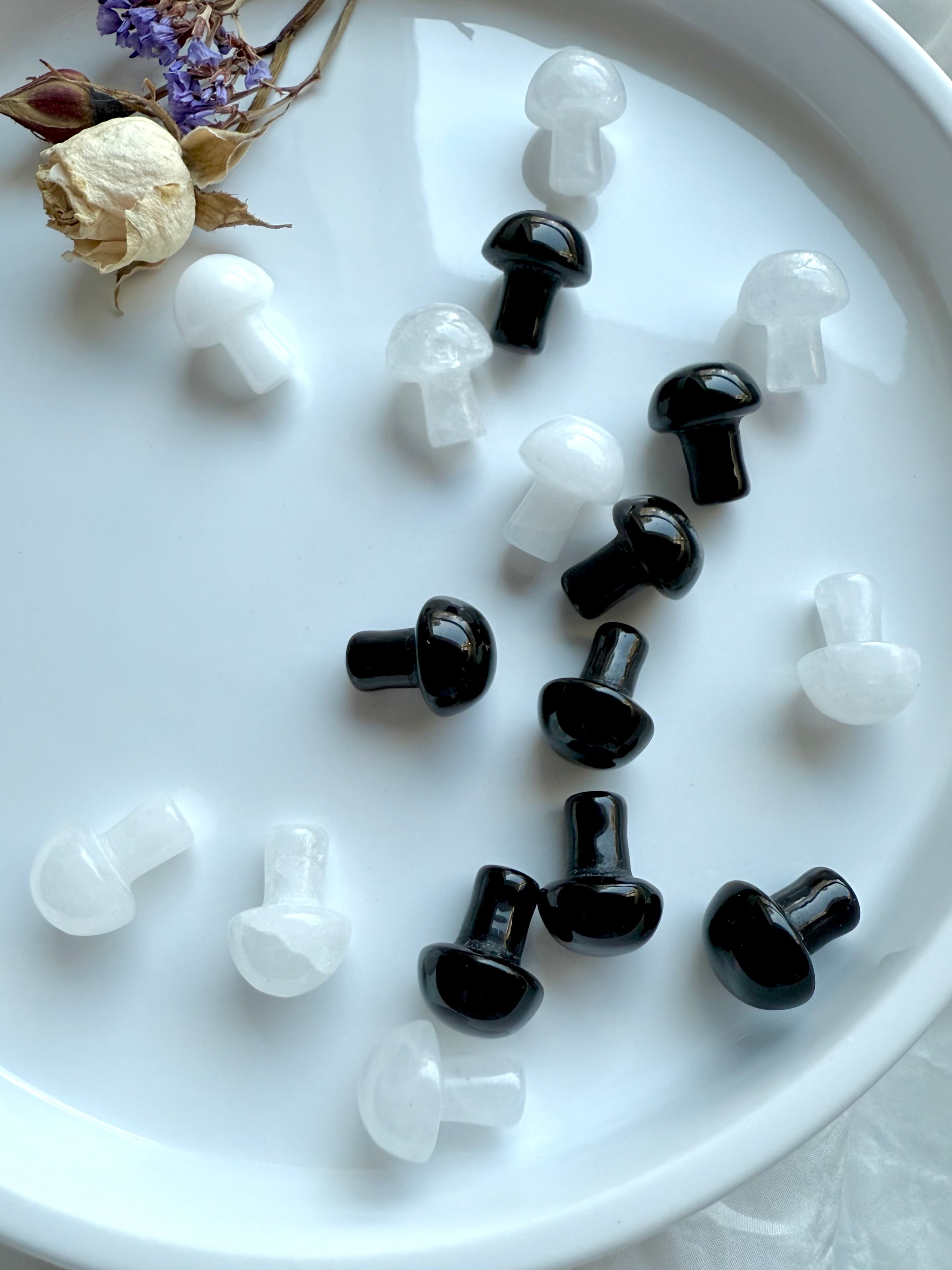 Top-down view of assorted Black Obsidian and White Quartz mushrooms – mini crystal mushroom carvings for altar display or chakra healing sets