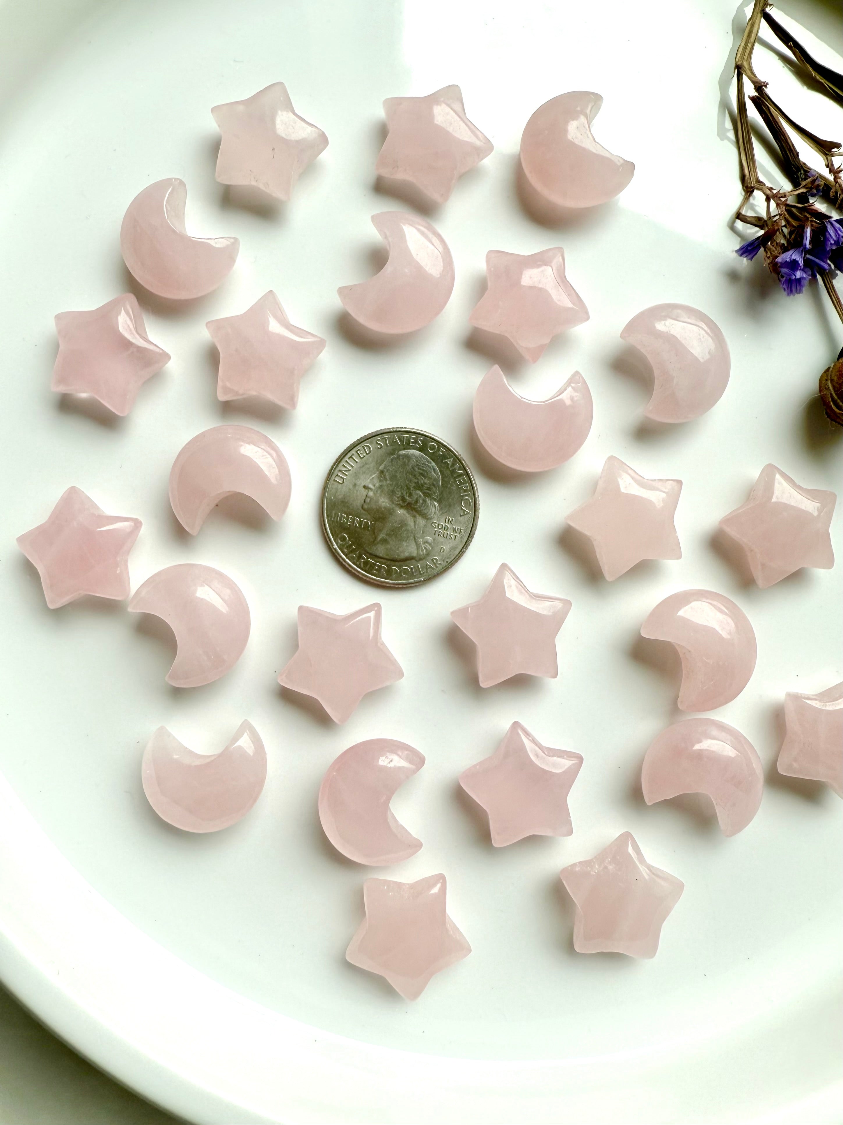 Array of small Rose Quartz moons and stars with a US quarter for scale. Mini crystals for Heart Chakra healing, emotional balance, and love.