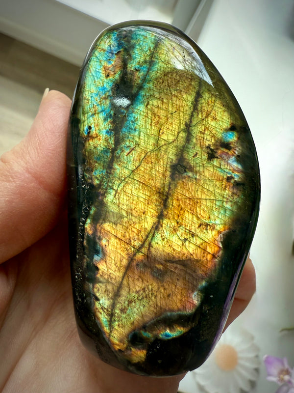 Full flash golden labradorite freeform crystal with stunning labradorescence