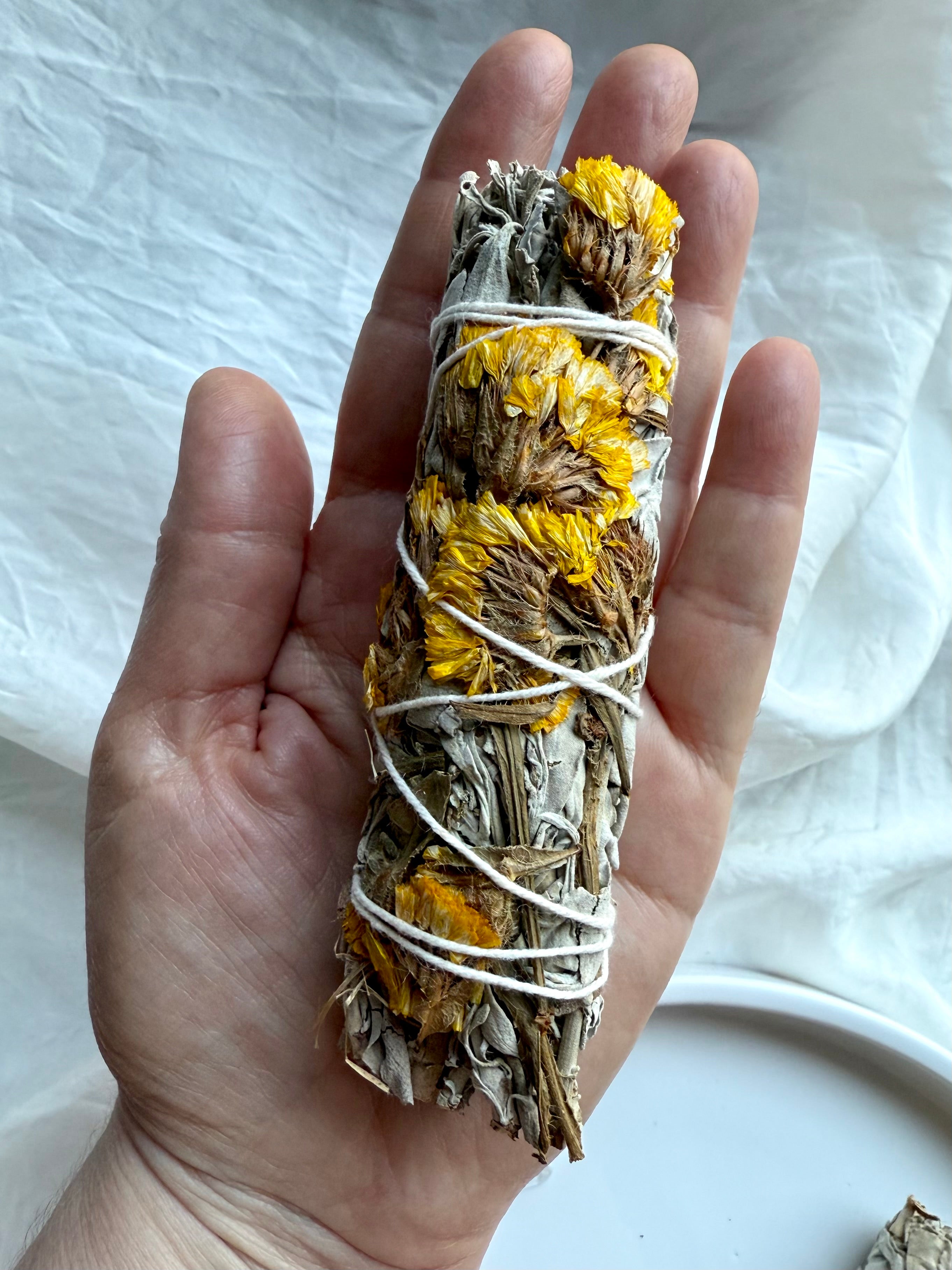 Yellow statice white sage smudge stick in hand for spiritual purification and energy protection