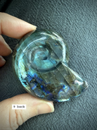 labradorite shell carving # 9 back view polished labradorite shell with natural variation and sheen