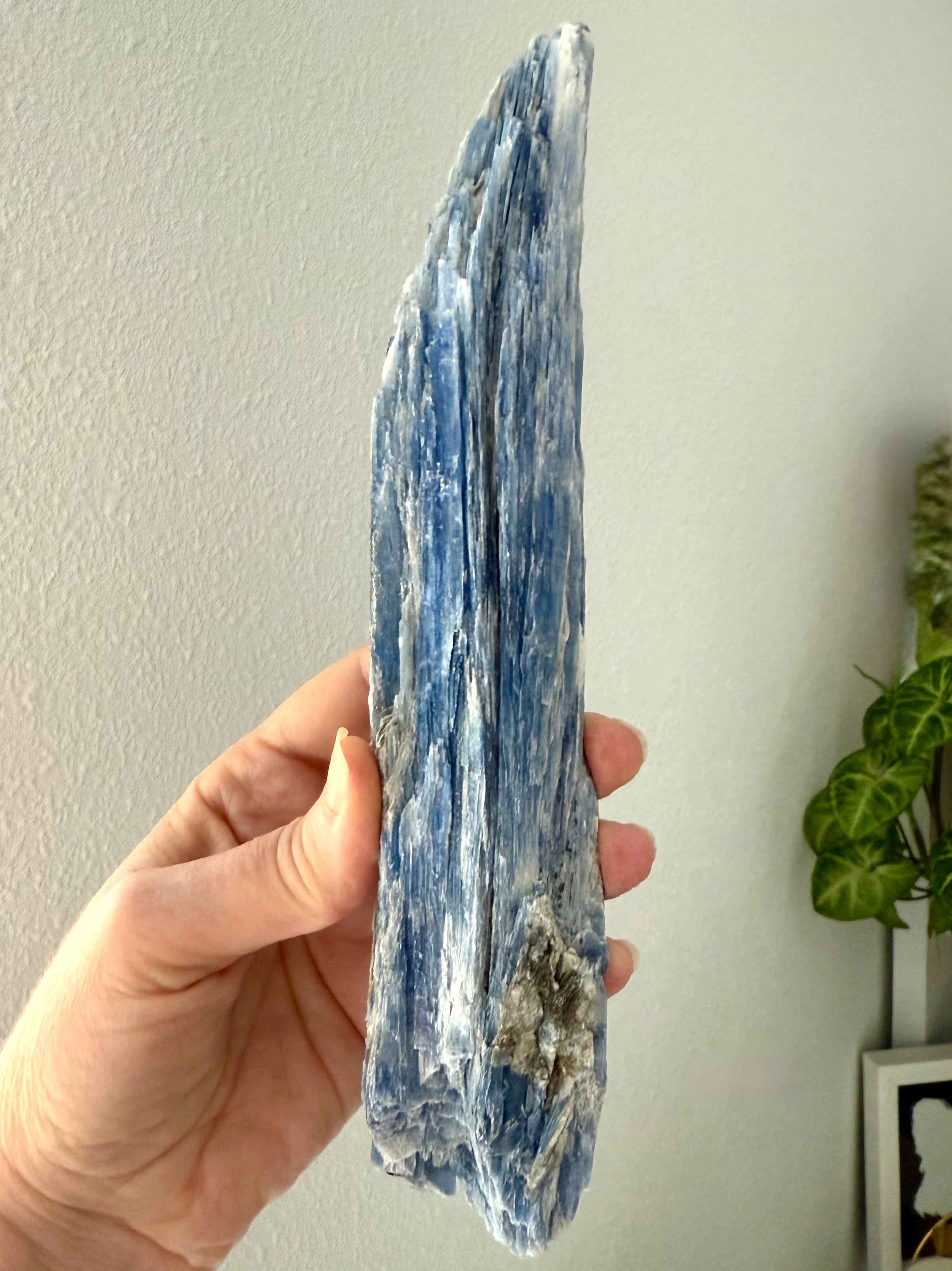 Large blue kyanite blade crystal 9.1 inches long with quartz, muscovite + black tourmaline, raw collector mineral specimen