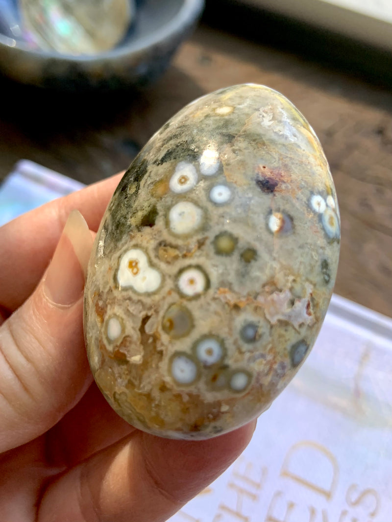 8th Vein Orbicular Ocean Jasper Palm Stones