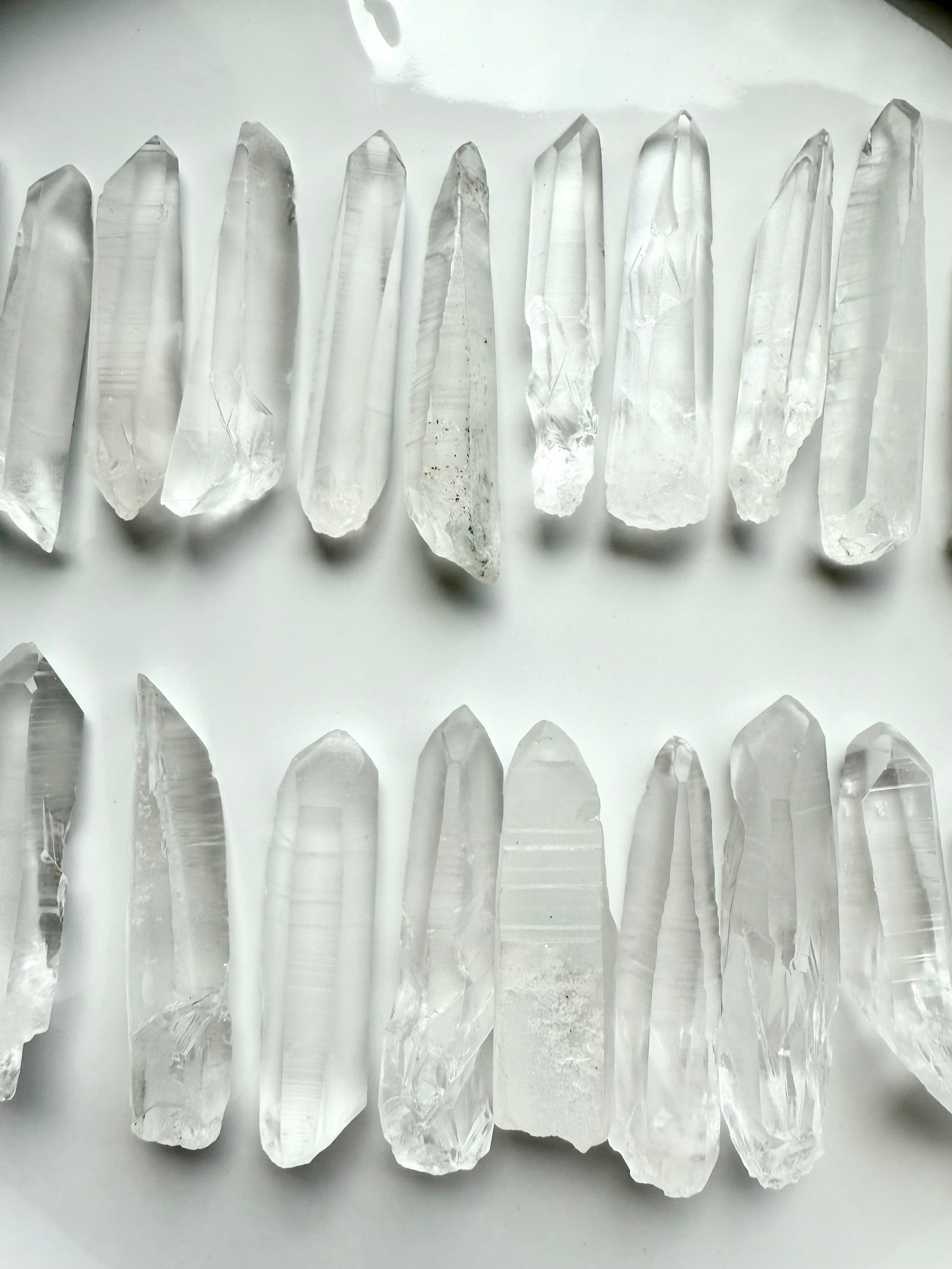 Two rows of Lemurian Seed Quartz Points on a white background showing clarity, striations & natural variety — powerful tools for spiritual awakening