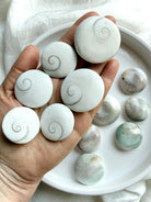 close-up of natural Shiva Eye shells on hand showing organic variation in size, color, and spiral detail