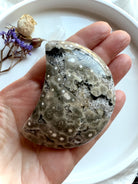 Polished Ocean Jasper moon carving in hand with striking orbicular circles, earthy tones, and sparkling druzy pocket
