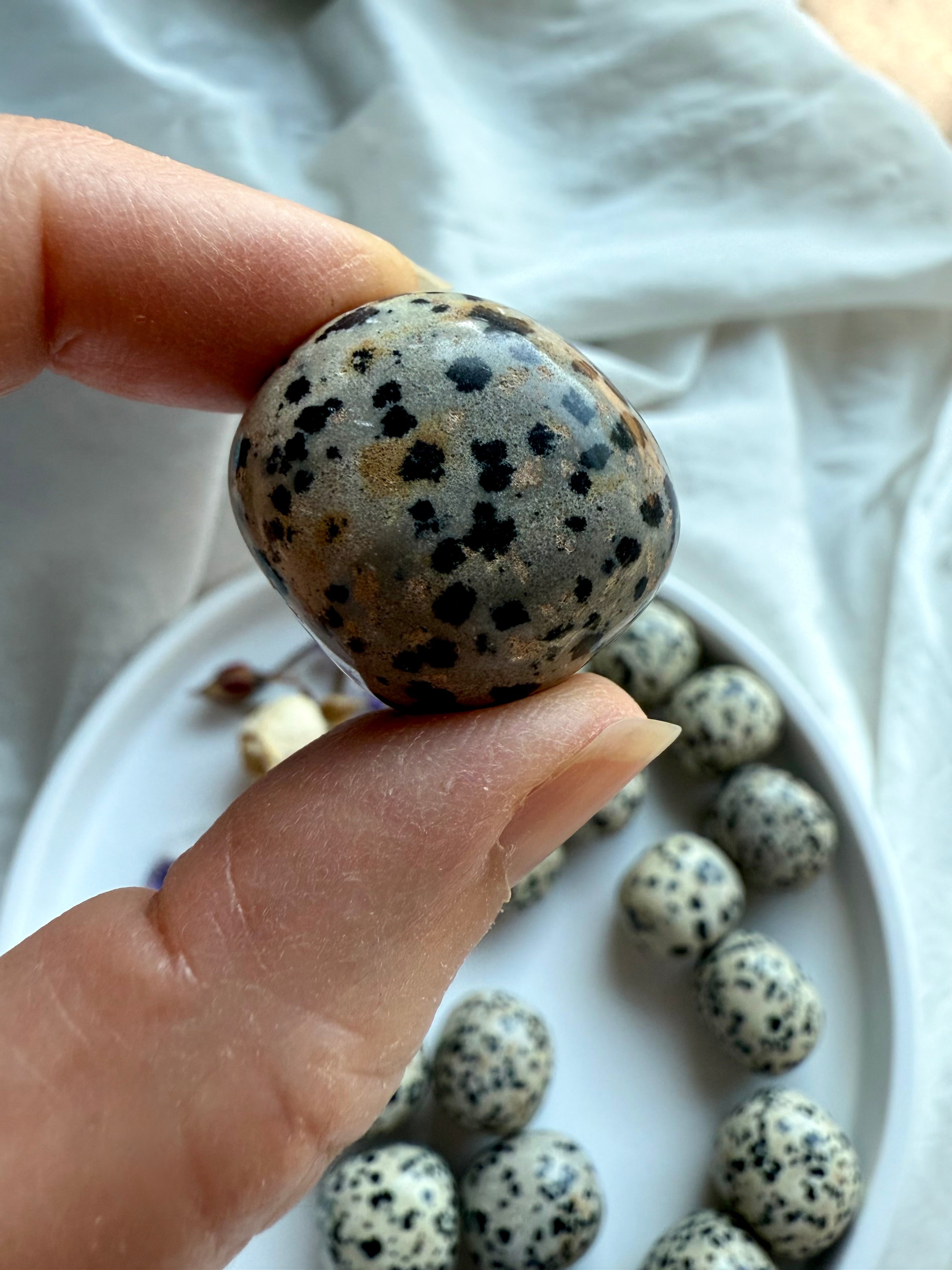 Dalmatian Jasper tumble crystal closeup, natural spotted stone with grounding and protective healing properties