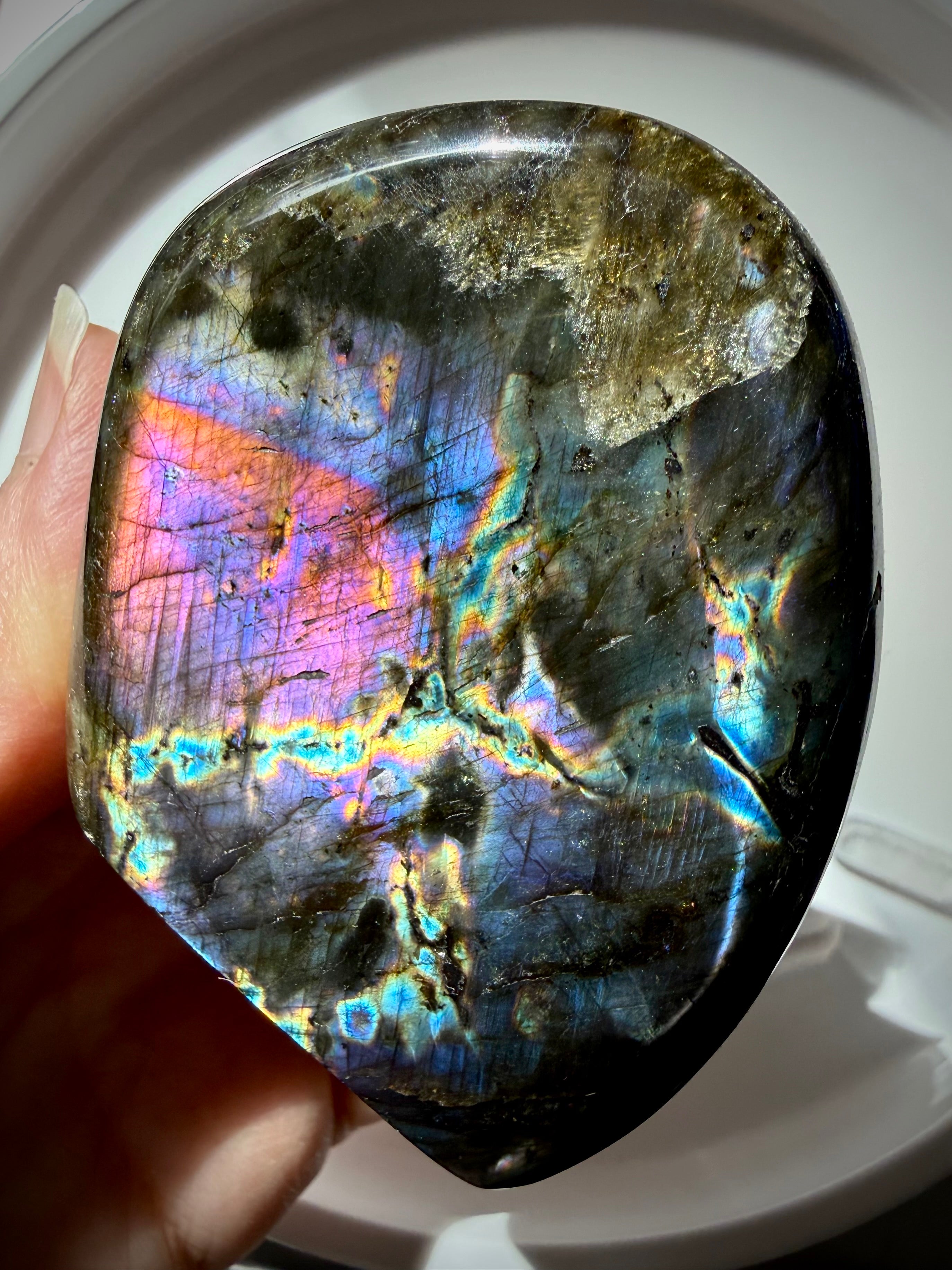Polished Labradorite freeform with vibrant rainbow flash and natural dark matrix